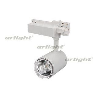 Светодиодный светильник Arlight 021676 LGD-1530WH-30W-4TR White 24deg