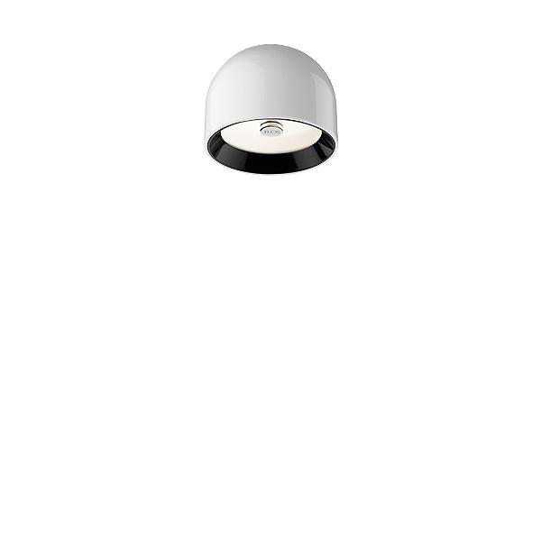Настенно-потолочный светильник Flos WAN C/W F9550009