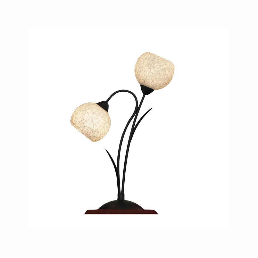 Настольная лампа декоративная  Lussole Bagheria LSF-6294-02