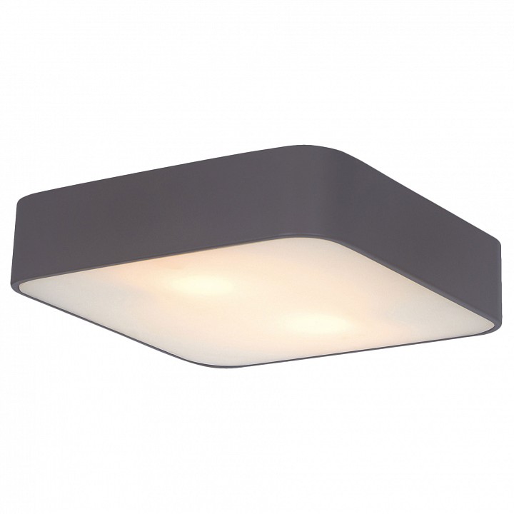 Накладной потолочный светильник Arte Lamp Cosmopolitan A7210PL-2BK