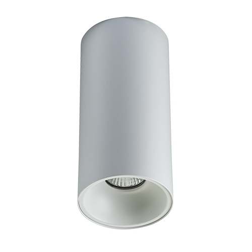 MEGALIGHT 3160-25 white - Накладной потолочный светильник