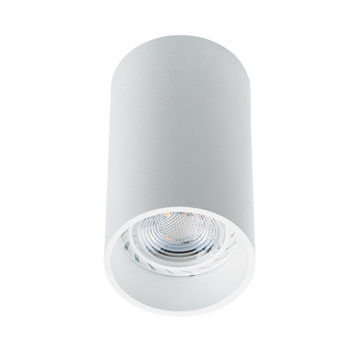 MEGALIGHT 5010 white - Накладной потолочный светильник