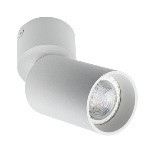 MEGALIGHT 5090 white - Накладной потолочный светильник