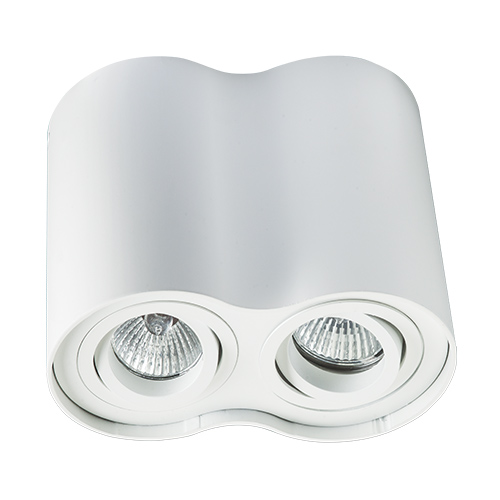 MEGALIGHT 5600/2 white - Накладной потолочный светильник