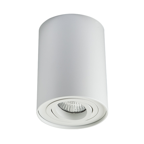 MEGALIGHT 5600 white - Накладной потолочный светильник