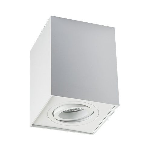 MEGALIGHT 5601 white - Накладной потолочный светильник