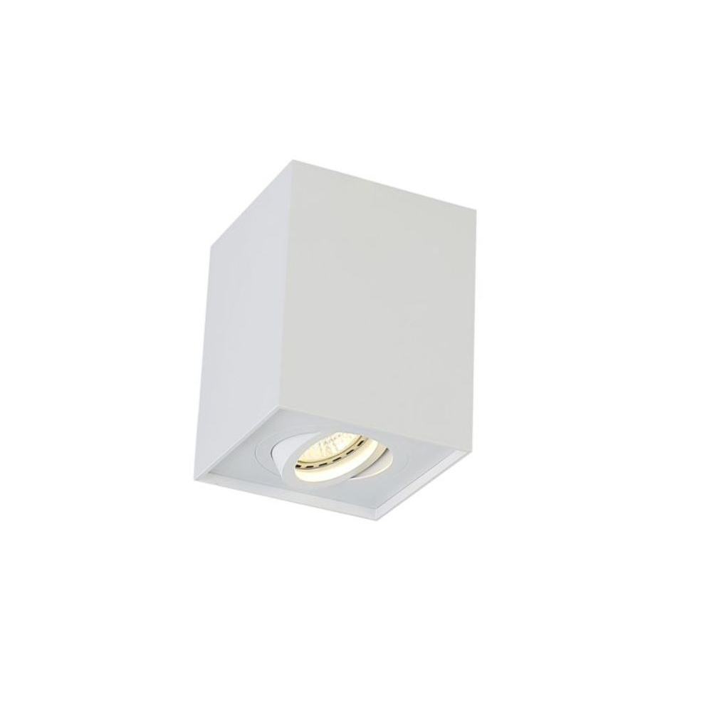 Потолочный накладной светильник Crystal Lux CLT 420C WH
