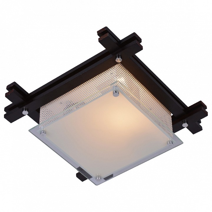 Накладной настенно-потолочный светильник Arte Lamp Archimede A6463PL-2BR