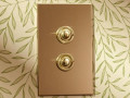 Выключатели Forbes&Lomax серия Unlacquered Brass