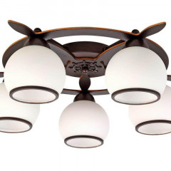 Потолочная люстра Omnilux OML-50507-05