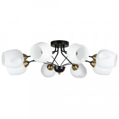 Потолочная люстра Arte Lamp Brighton A2706PL-8CK