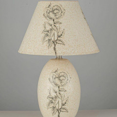 Настольная лампа Arti Lampadari Canicatti E 4.1.T3 WY