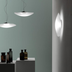 Накладной настенно-потолочный светильник Fabbian LOOP F35 G03 00