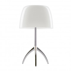Настольный светильник Foscarini Lumiere 5 grande Alluminio/Bianco 026001R2 11