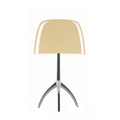 Настольный светильник Foscarini Lumiere 5 grande Alluminio/Bianco caldo 026001R2 12