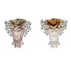 Накладной настенный светильник Lucienne Monique Y 9