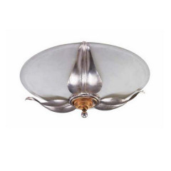 Накладной потолочный светильник Lucienne Monique 994-3