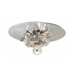 Накладной потолочный светильник Lucienne Monique AX 118