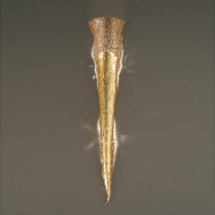 Накладной настенный светильник MM Lampadari 6699_A2 FORME