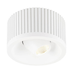 Светильник потолочный SLV 117361 OCCULDAS 13 MOVE, белый