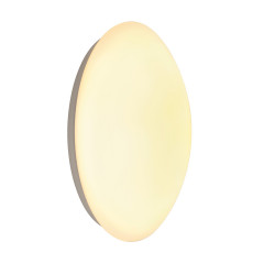 Настенно-потолочный светильник SLV LIPSY 36 M COLOR CONTROL Slave 133748