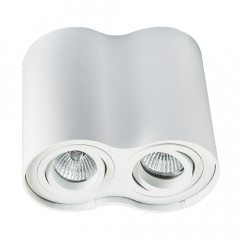 MEGALIGHT 5600/2 white - Накладной потолочный светильник