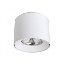 Потолочный накладной светильник Crystal Lux CLT 522C117 WH