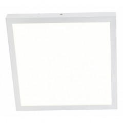 Накладной потолочный светильник Favourite Flashled 1349-24C