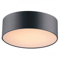 Накладной потолочный светильник Favourite Cerchi 1514-2C1