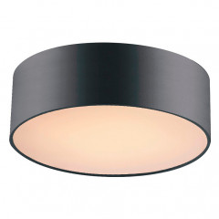 Накладной потолочный светильник Favourite Cerchi 1514-2C