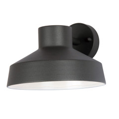 Уличный настенный светильник на штанге Favourite Firefox 1821-1W