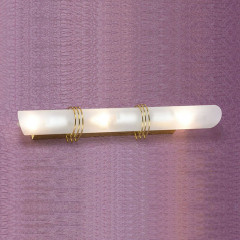 Накладной настенный светильник Lussole Selvino LSA-7701-03