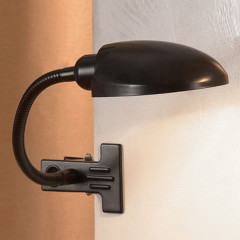 Настольная лампа офисная Lussole Roma LST-4214-01