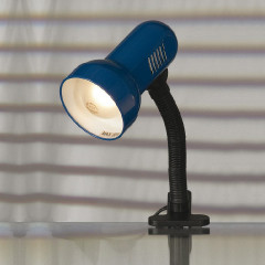 Настольная лампа офисная Lussole Sofia LST-4924-01