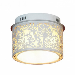 Накладной потолочный светильник Lussole Vetere LSF-2307-04