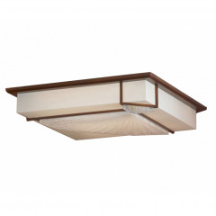 Накладной потолочный светильник Lussole Barbara LSF-9022-03