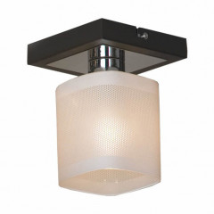 Светильник на штанге Lussole Costanzo LSL-9007-01