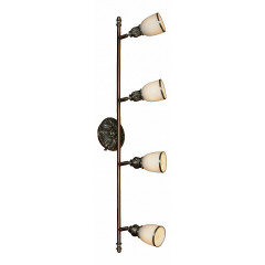 Спот Lussole Furlo LSL-7309-04