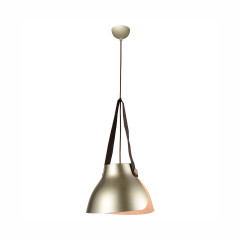 Подвесной светильник Lussole LSP-9843