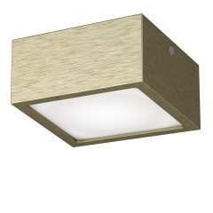 Накладной потолочный светильник Lightstar Zolla 213921