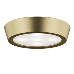 Накладной потолочный светильник Lightstar Urbano 214912