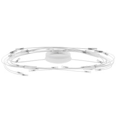 Люстра потолочная Lightstar 784246 Ovale