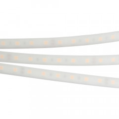Светодиодная лента Arlight 016170 RTW 2-5000PW 24V White 2x (5060, 300LED, LUX), 5 метров