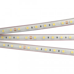 Светодиодная лента Arlight 021398 RTW 2-5000PS 24V Day White 2x (5060,300LED,LUX), 5 метров
