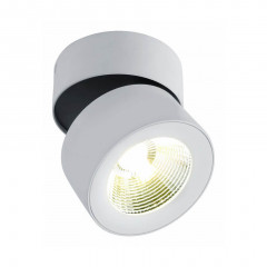 Светильник на штанге Divinare Urchin 1295/03 PL-1