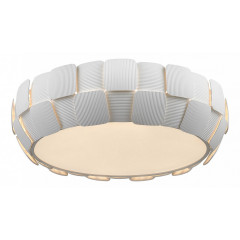 Накладной потолочный светильник Divinare Beata 1317/01 PL-6