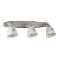 Спот Maytoni Agnes SP289-CW-03-BG