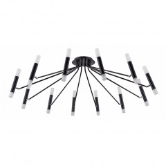 Потолочная люстра Maytoni Vigo MOD620CL-24B