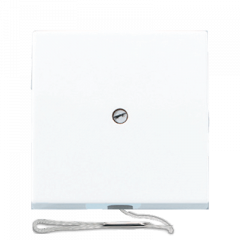 ВКЛючатель со ШНУРКОМ белый