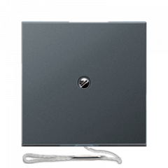 ВКЛючатель со ШНУРКОМ матовый антрацит